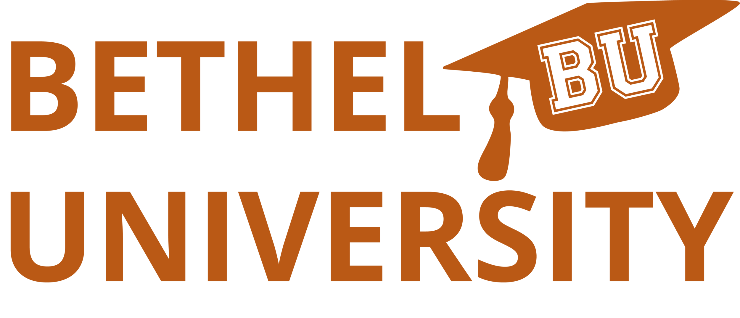 BU_type_logo_orange.png