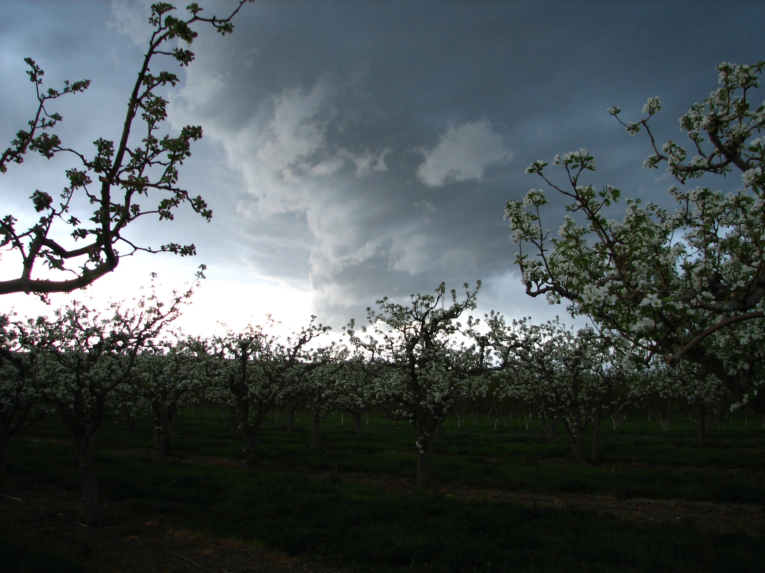stormy evening 020.JPG