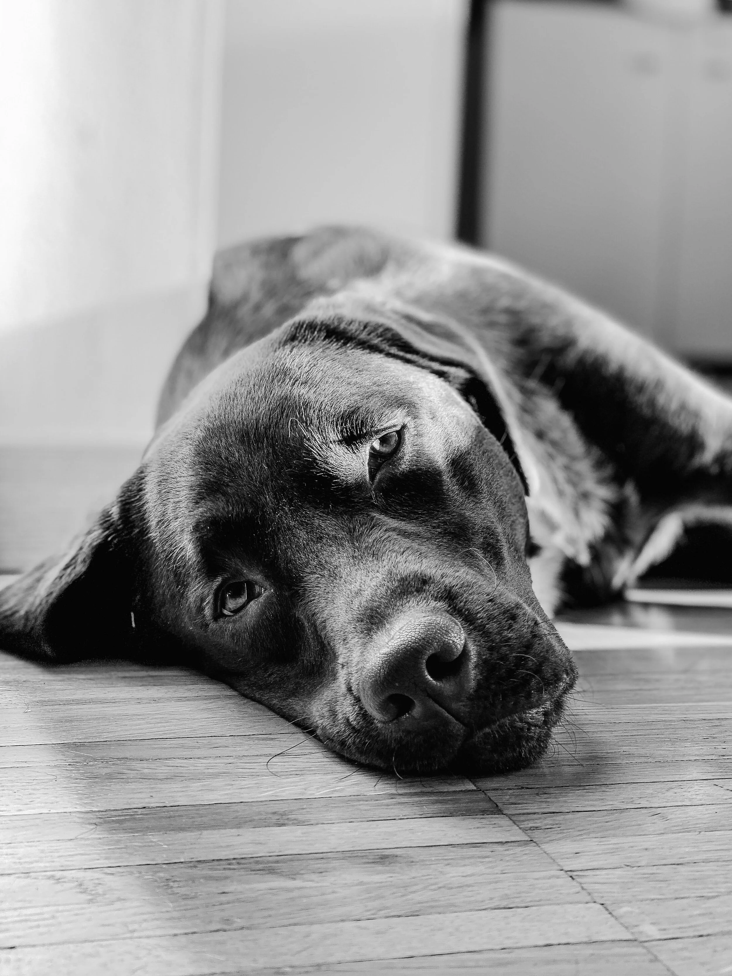 Feeling Guilty for Having Feelings?