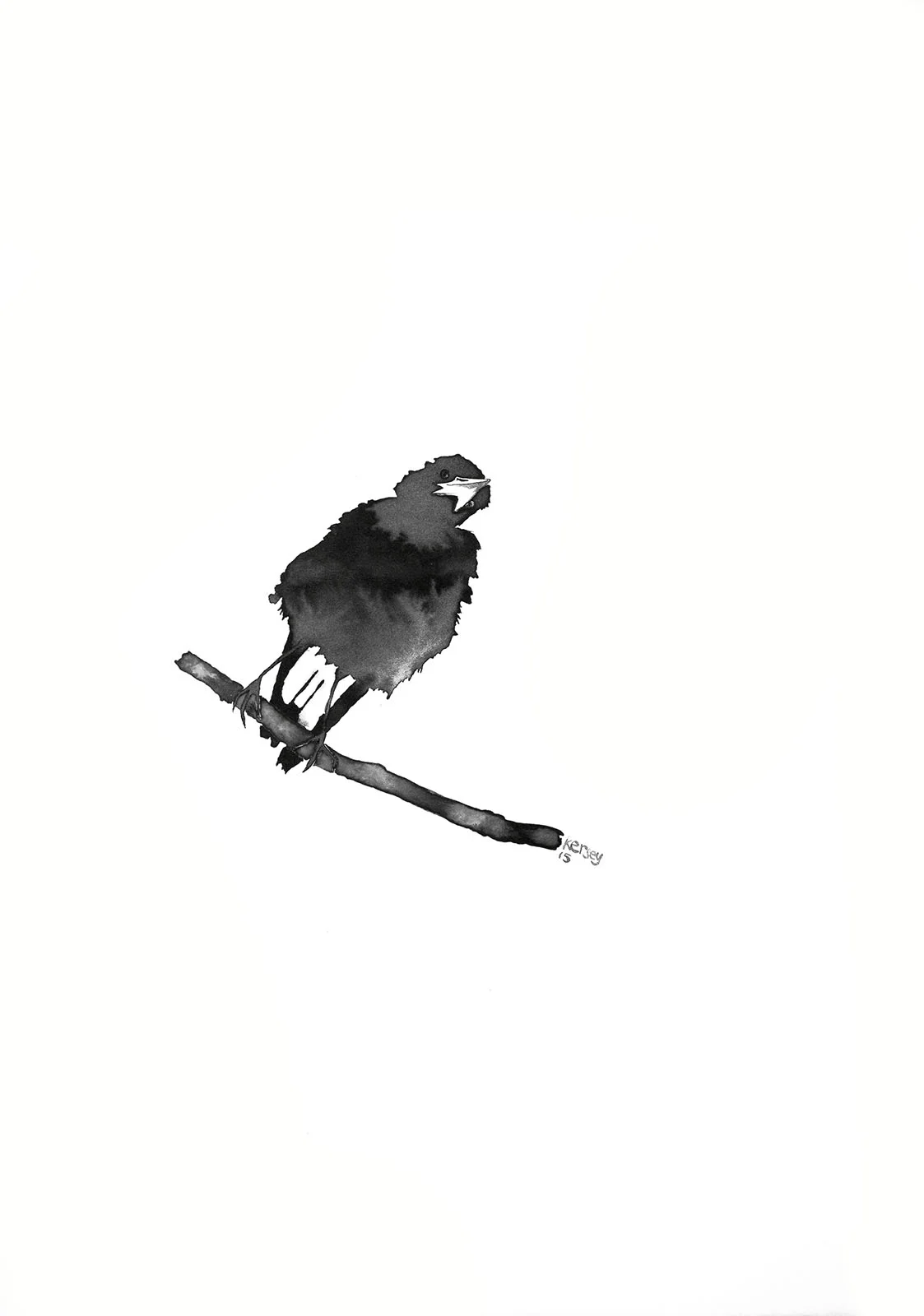 Rorscharch Magpie