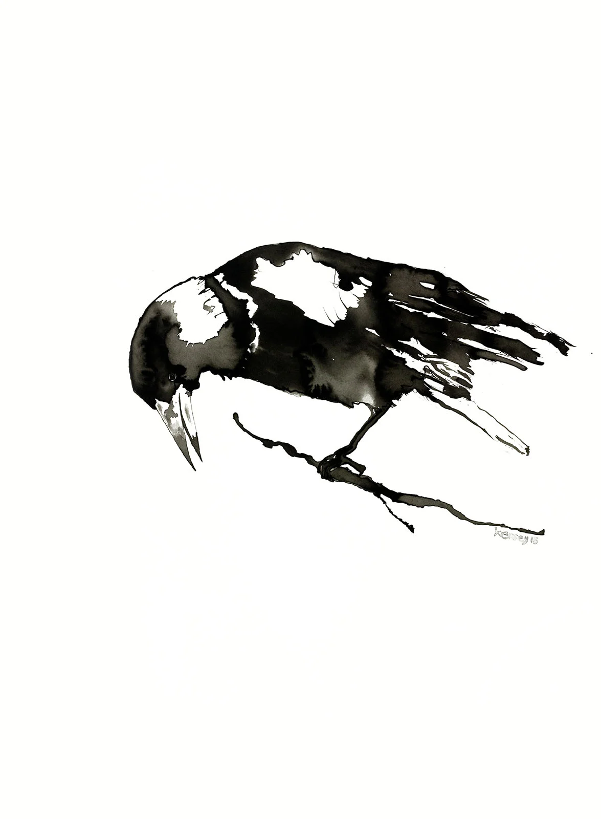 Emily's Magpie