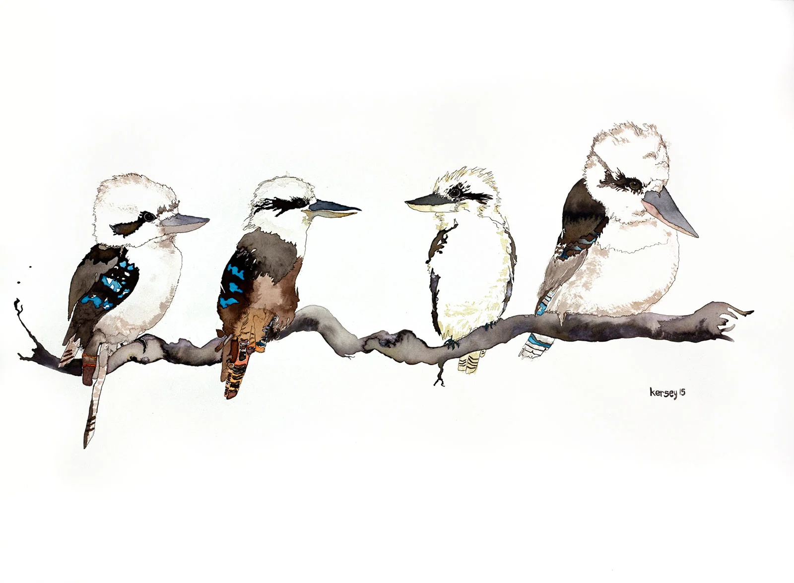 Narelle's Kookaburras