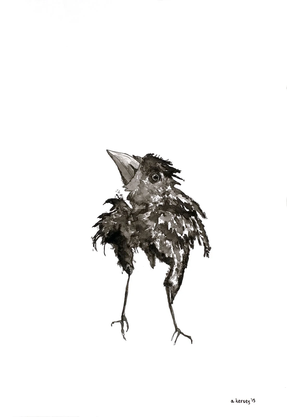 SKANKY BABY MAGPIE_Cropped + Whitened.jpg