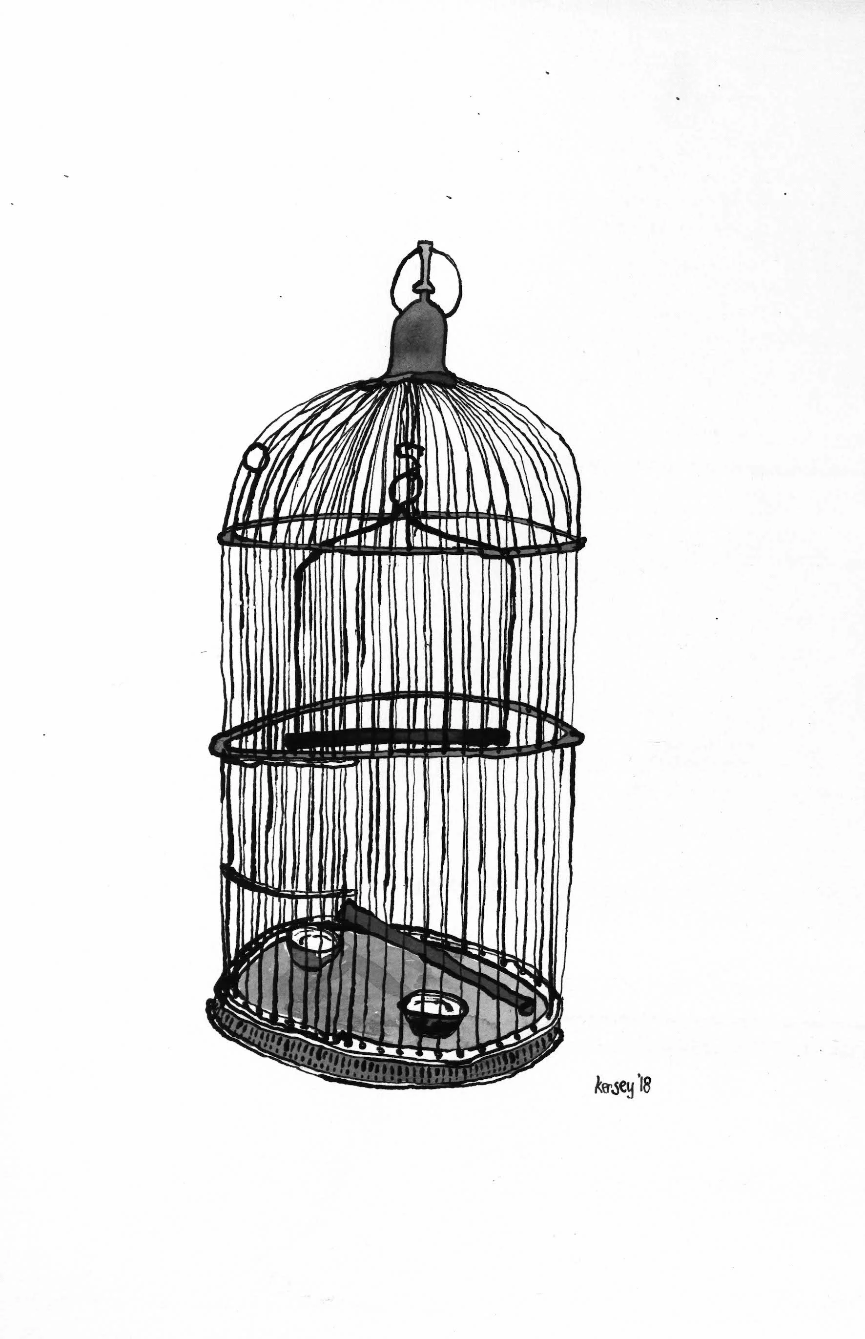 Empty Birdcage