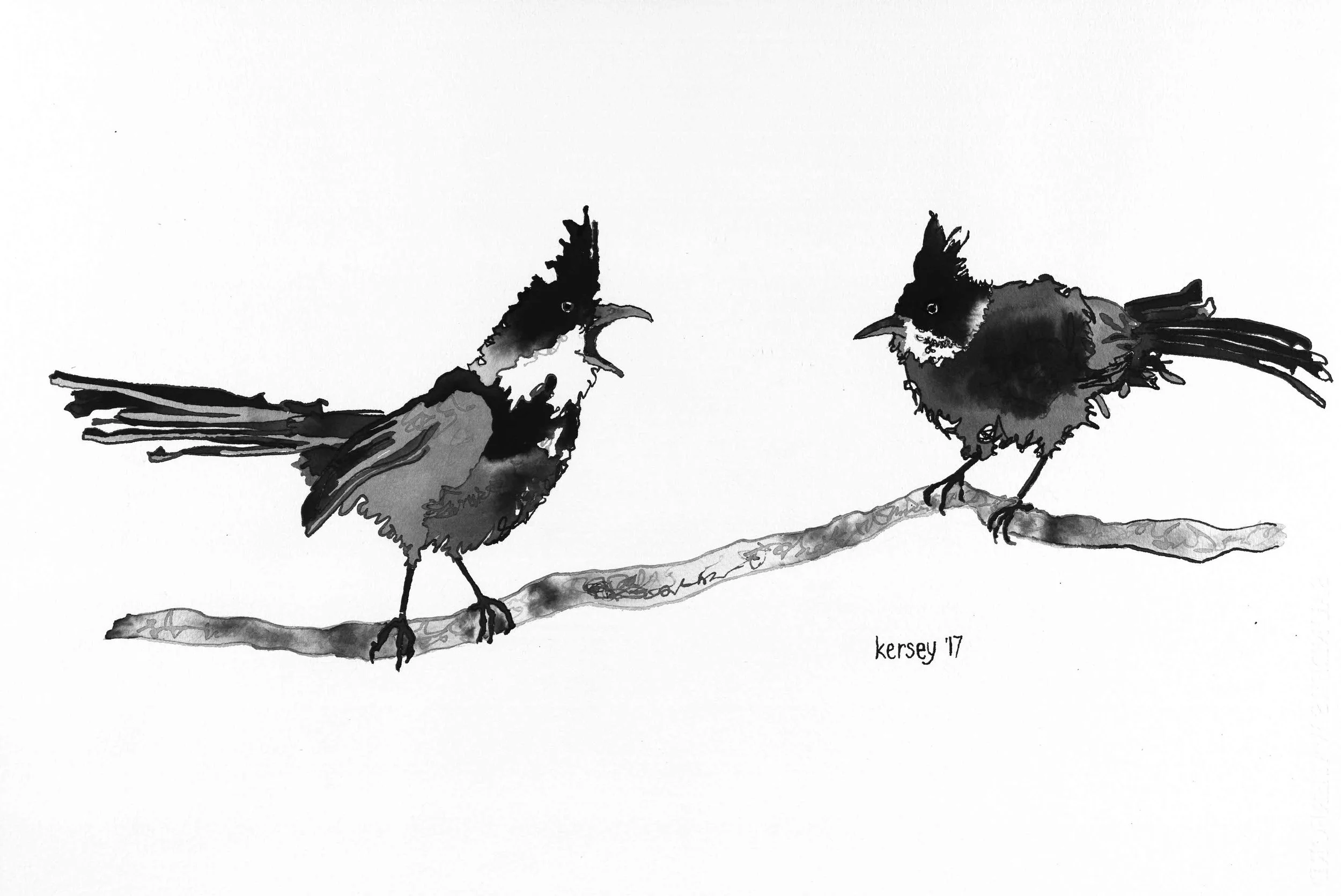 Whipbirds Call and Response