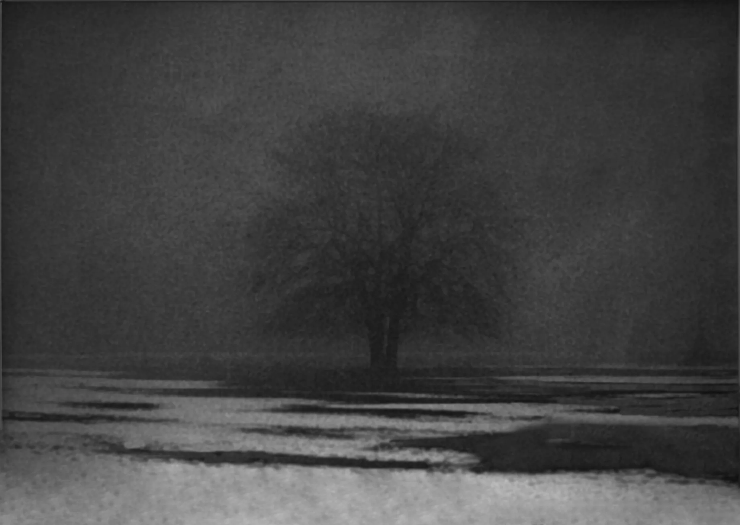 What Would Hope Be Without Disappointment? 2012 charcoal on paper, mounted on panel 18” x 24”