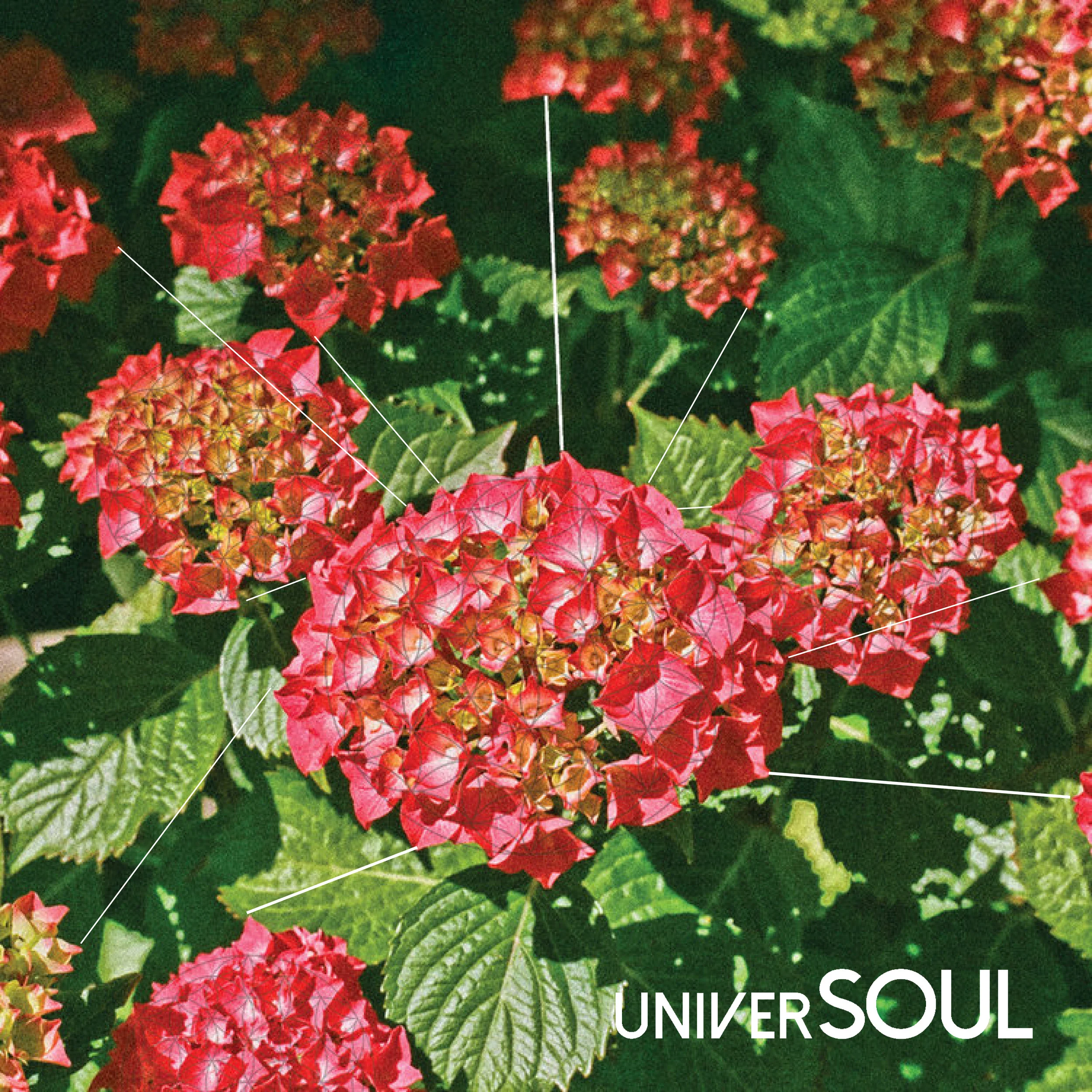 universoul2.jpg