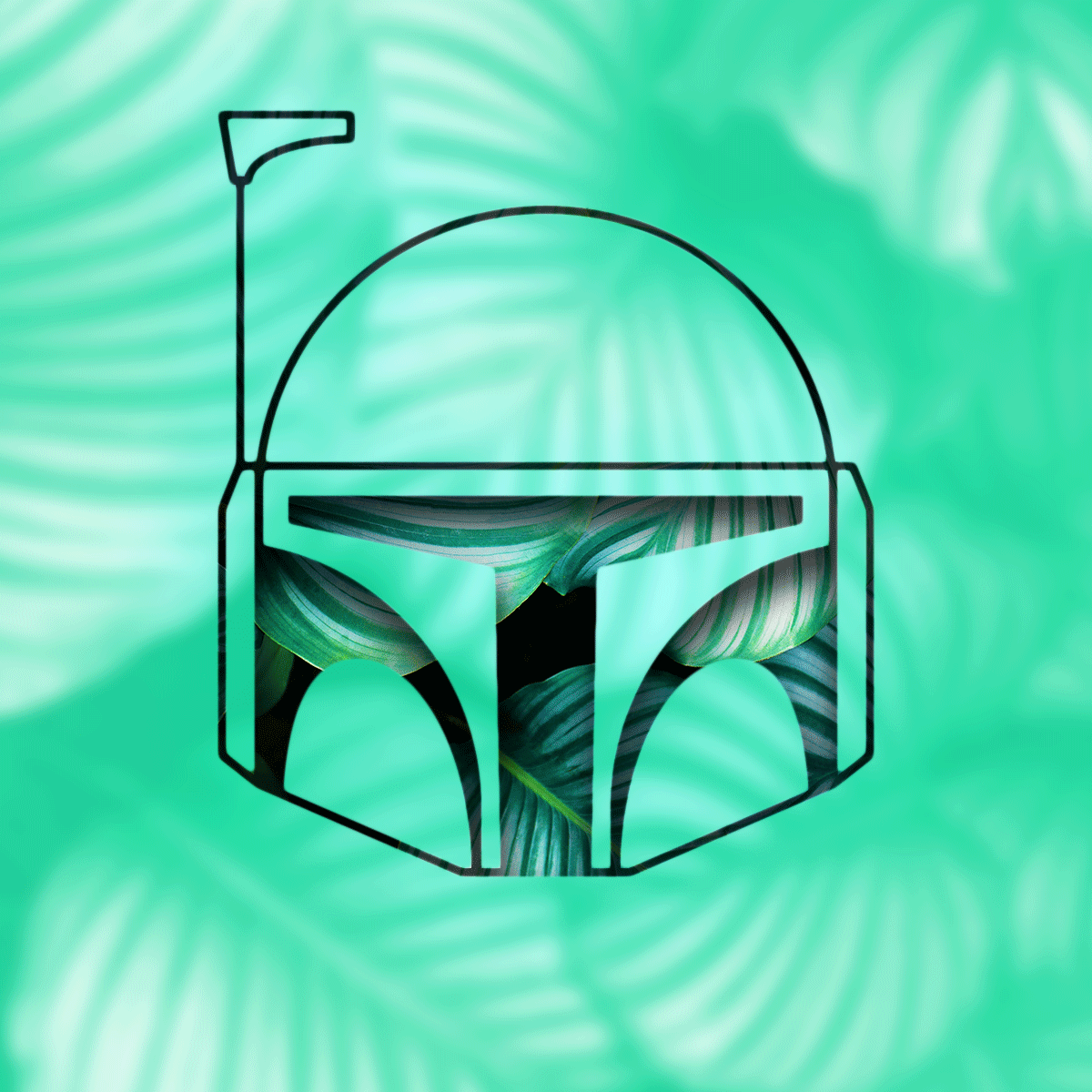 Tropical-Boba-Fett-Collab.png