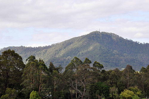 Looking back up to Mt. Cambewarra launch which is just under the tower