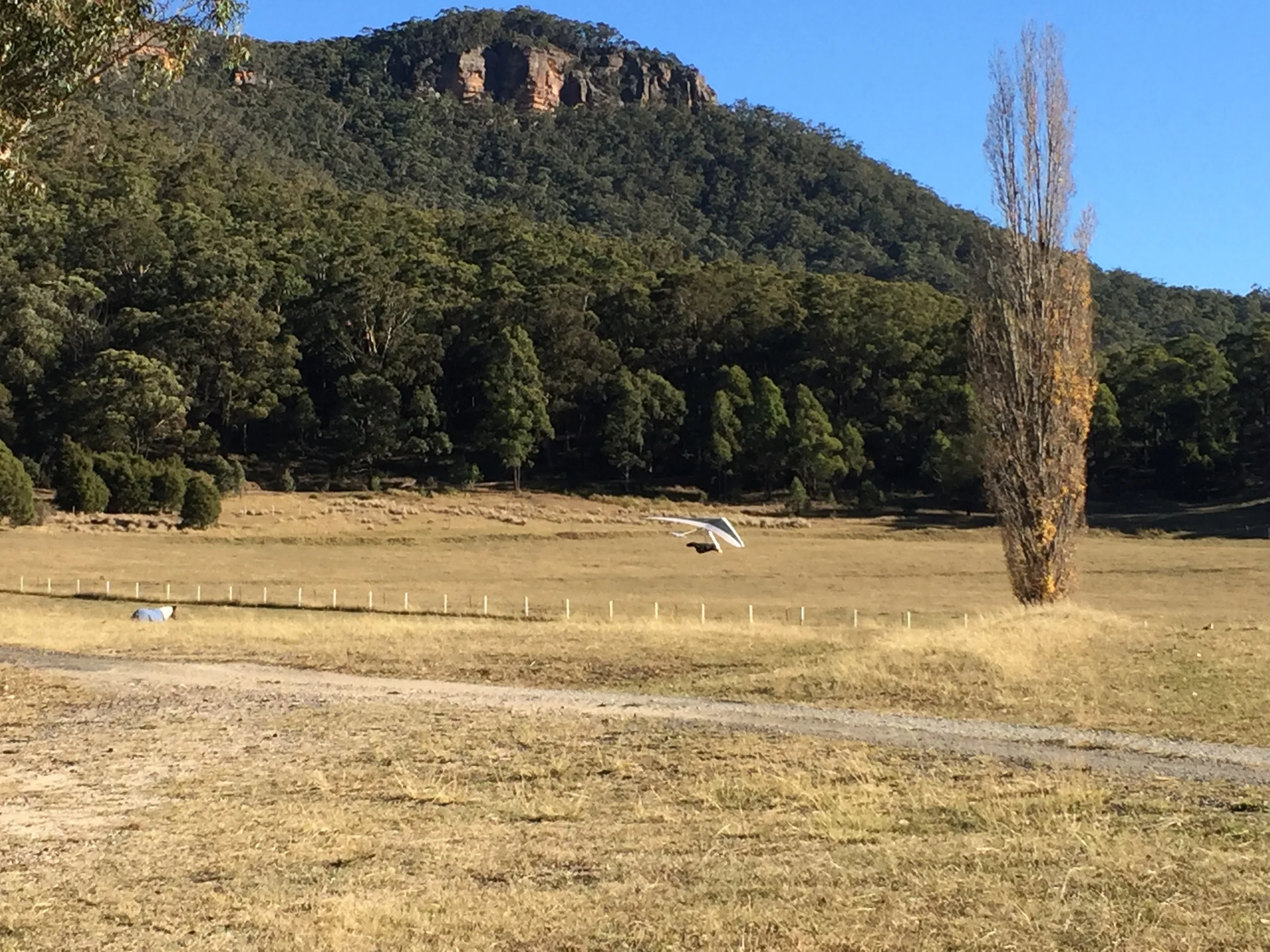 Bombout and landing paddock at blackheath