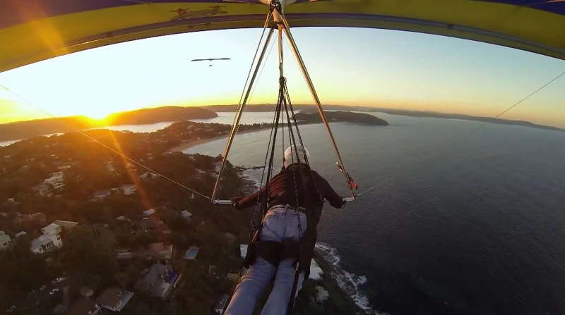 flying the sunset near palm bach