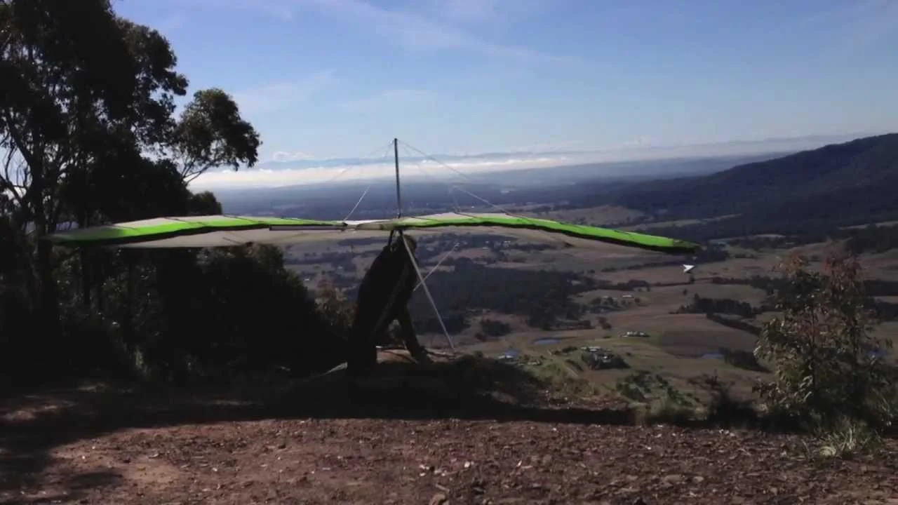 flying from the watagan forest