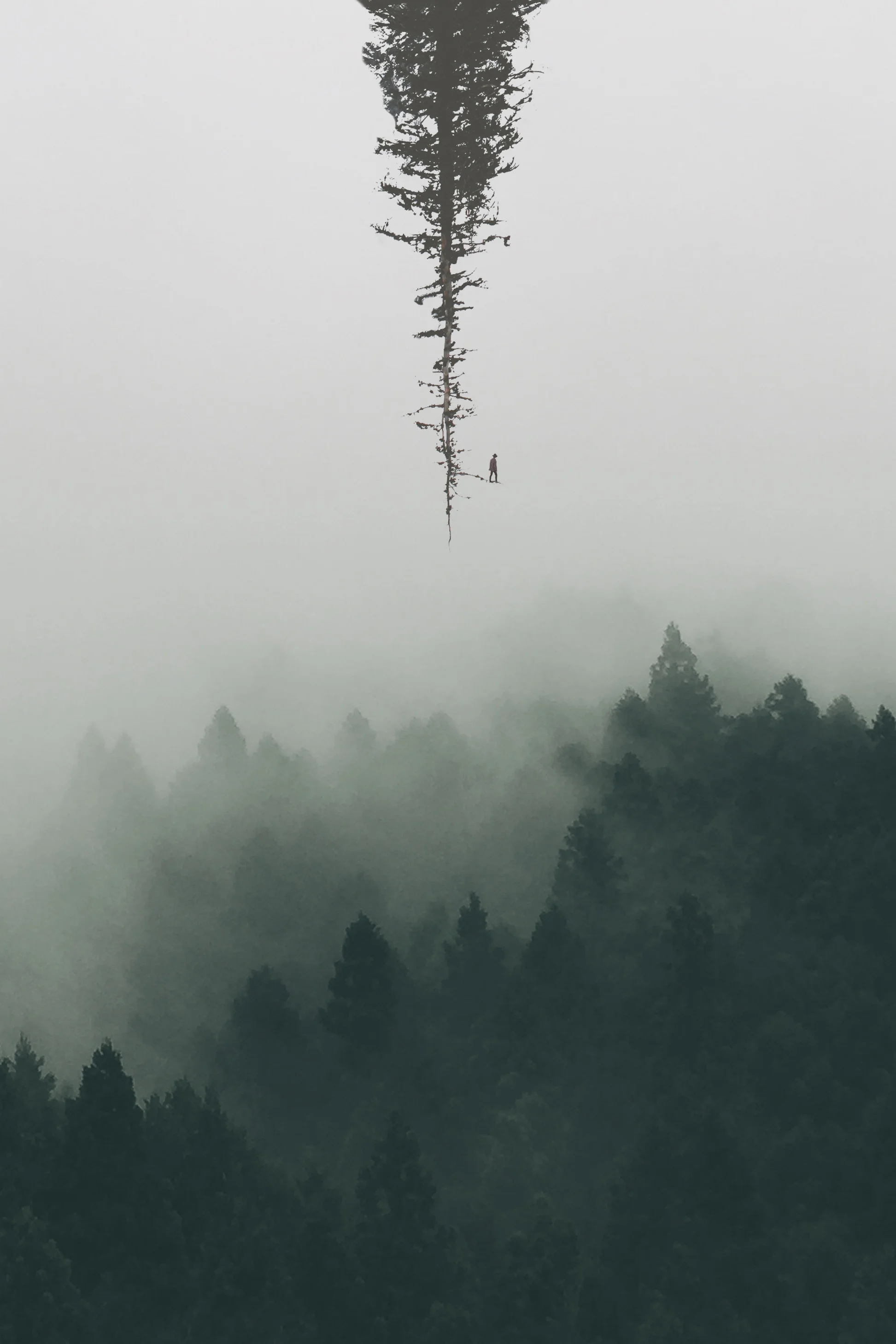 upsidetree.jpg
