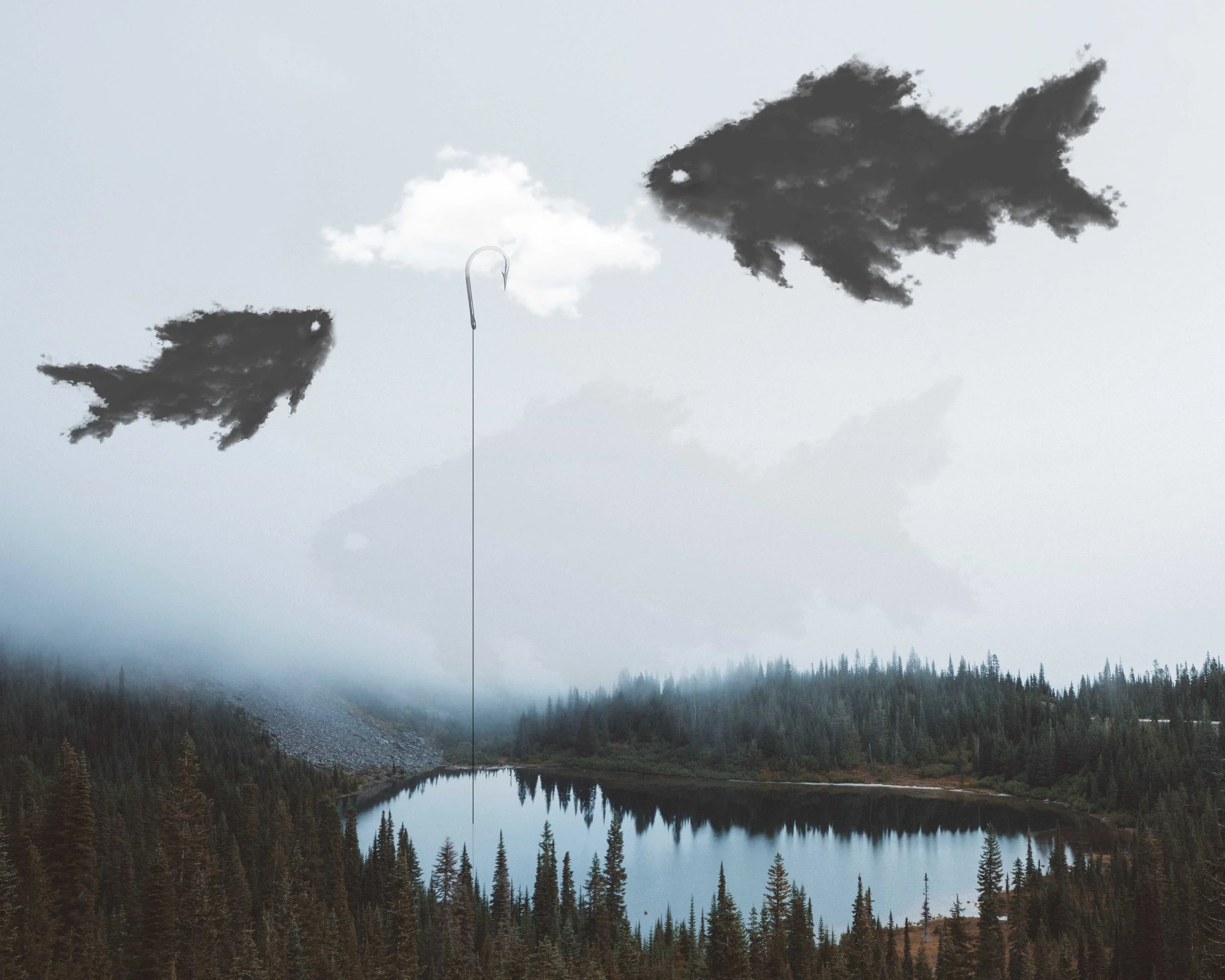 cloud fish2.jpg