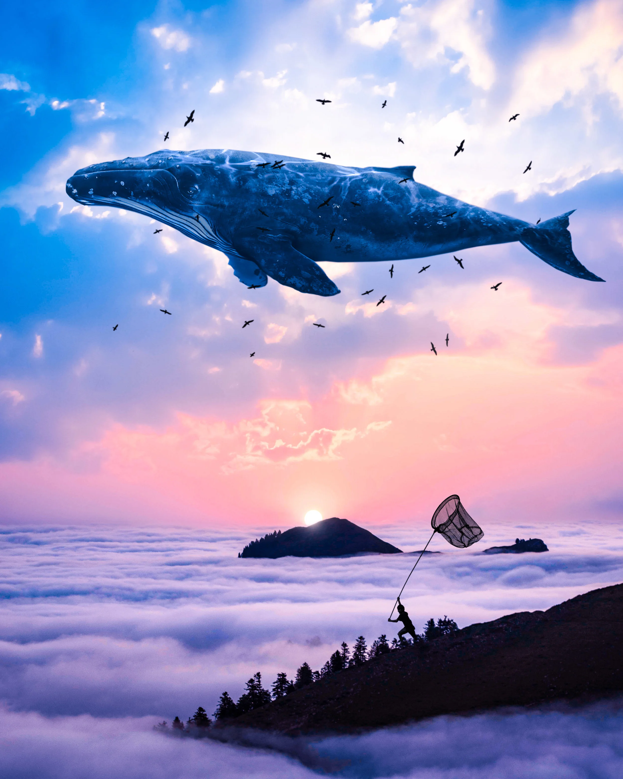 big fish LR.jpg