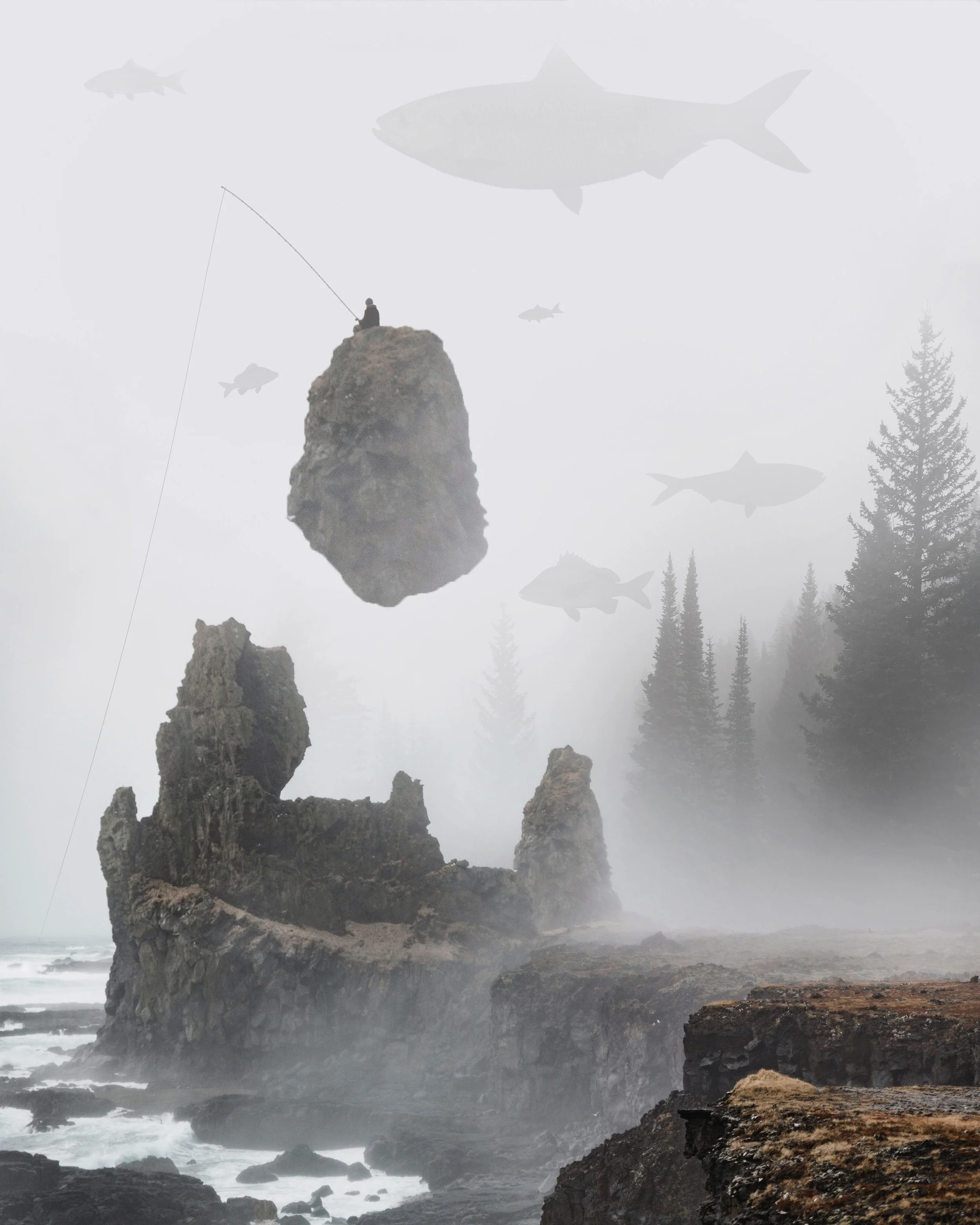 fog fish.jpg
