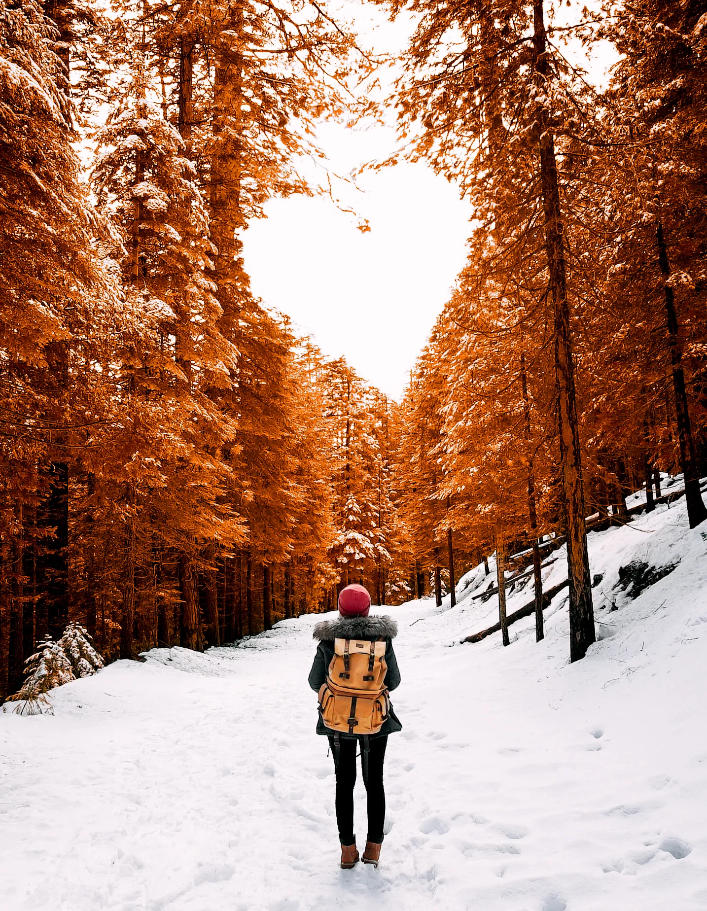 heart-Edit.jpg