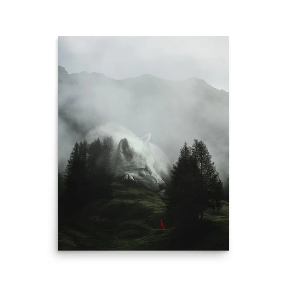 premium-luster-photo-paper-poster-(in)-16x20-front-63e0b0f5a1538.jpg