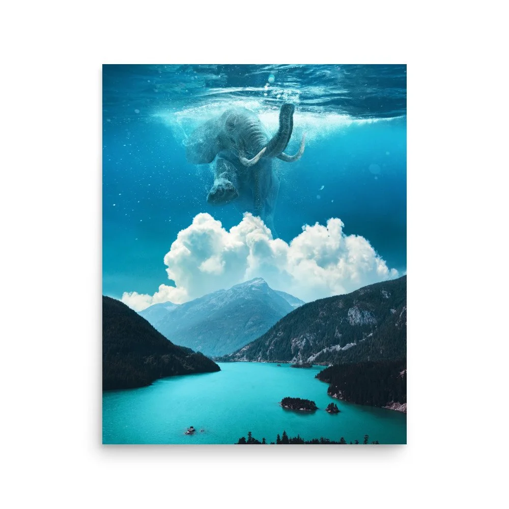 premium-luster-photo-paper-poster-(in)-16x20-front-63e0b1da2fa1d.jpg