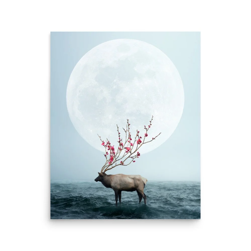 premium-luster-photo-paper-poster-(in)-16x20-front-63e0bb01606d5.jpg