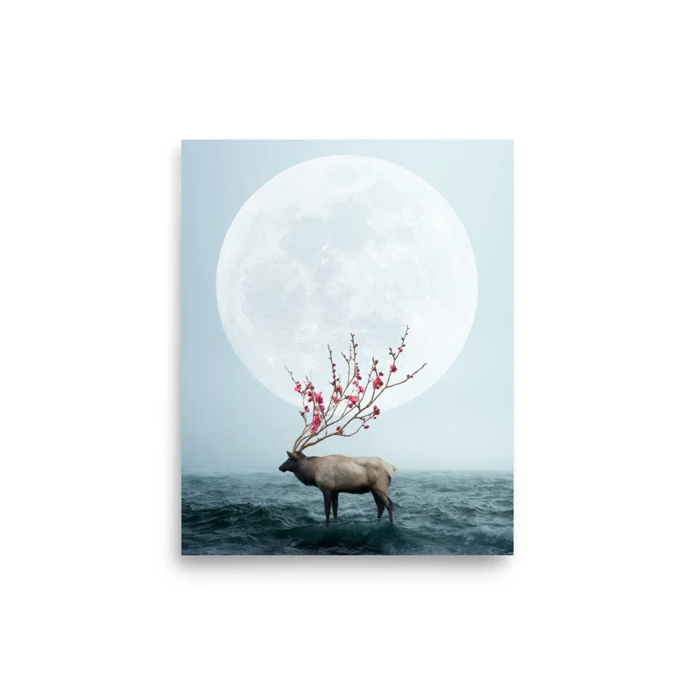 premium-luster-photo-paper-poster-(in)-8x10-front-63e0bb0164f7e.jpg