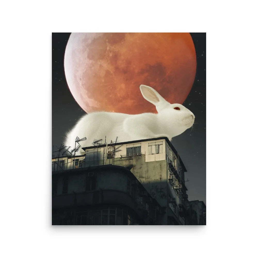 premium-luster-photo-paper-poster-(in)-16x20-front-63e0c18594112.jpg