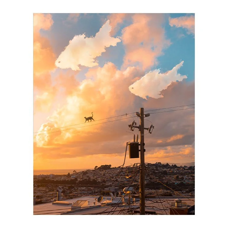 birth+of+milky+1 copy.jpg