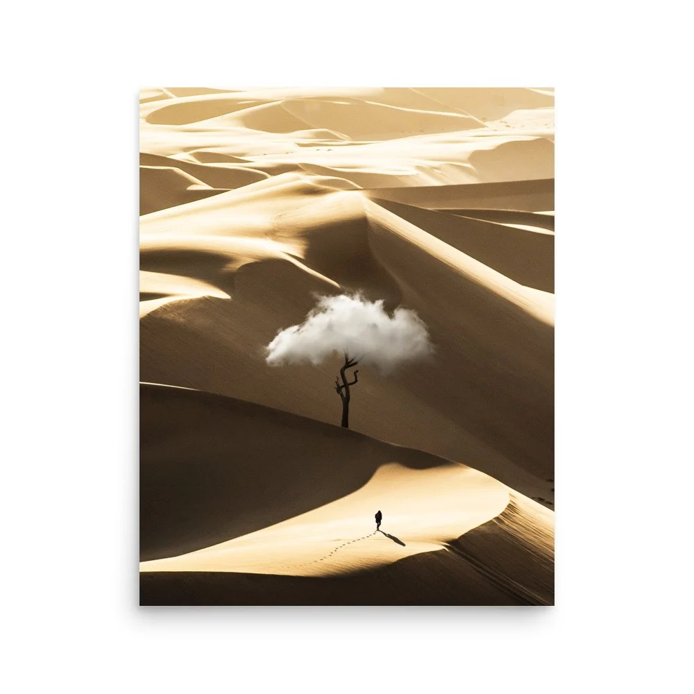 premium-luster-photo-paper-poster-(in)-16x20-front-6430ba227d146.jpg