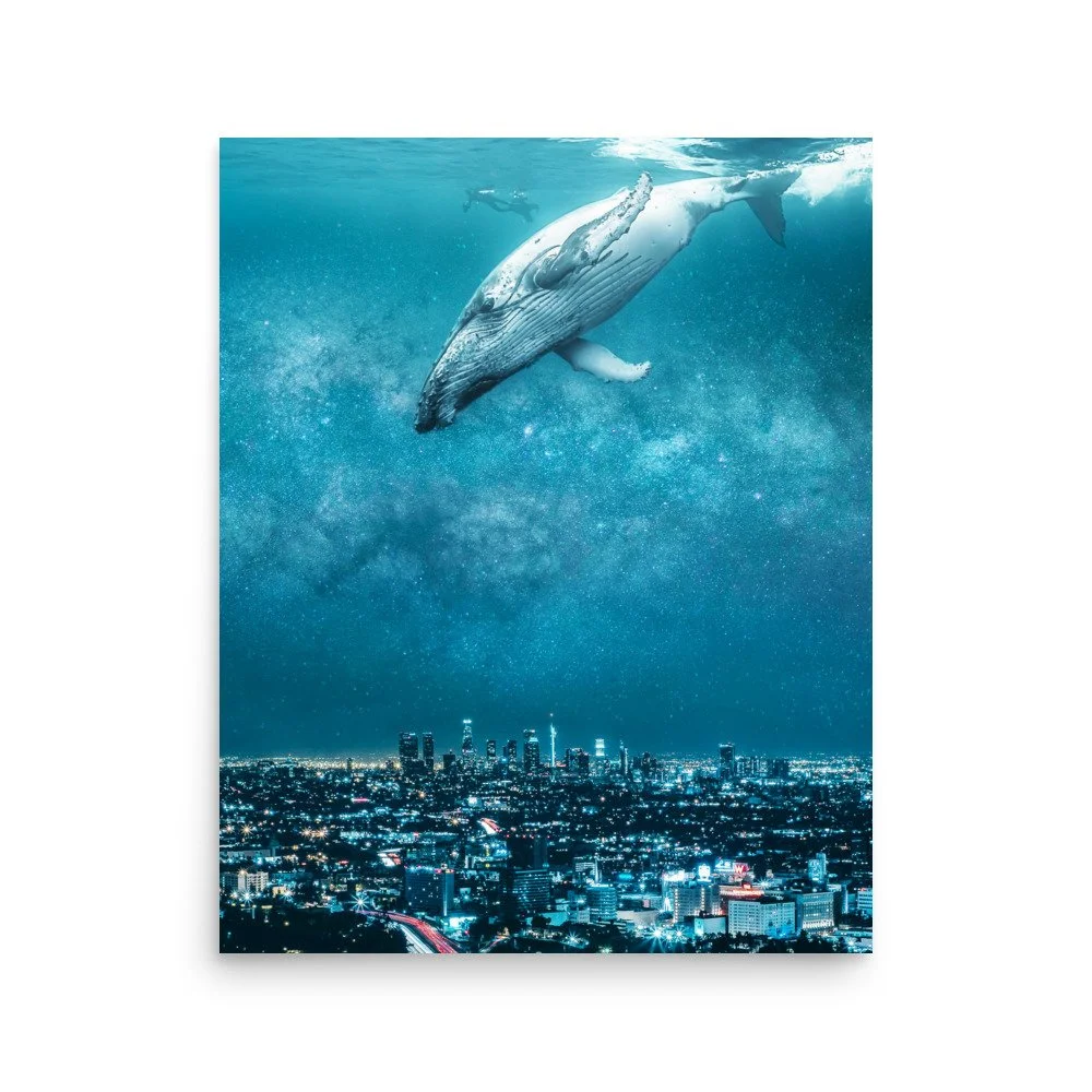premium-luster-photo-paper-poster-(in)-16x20-front-643981cc8fb90.jpg