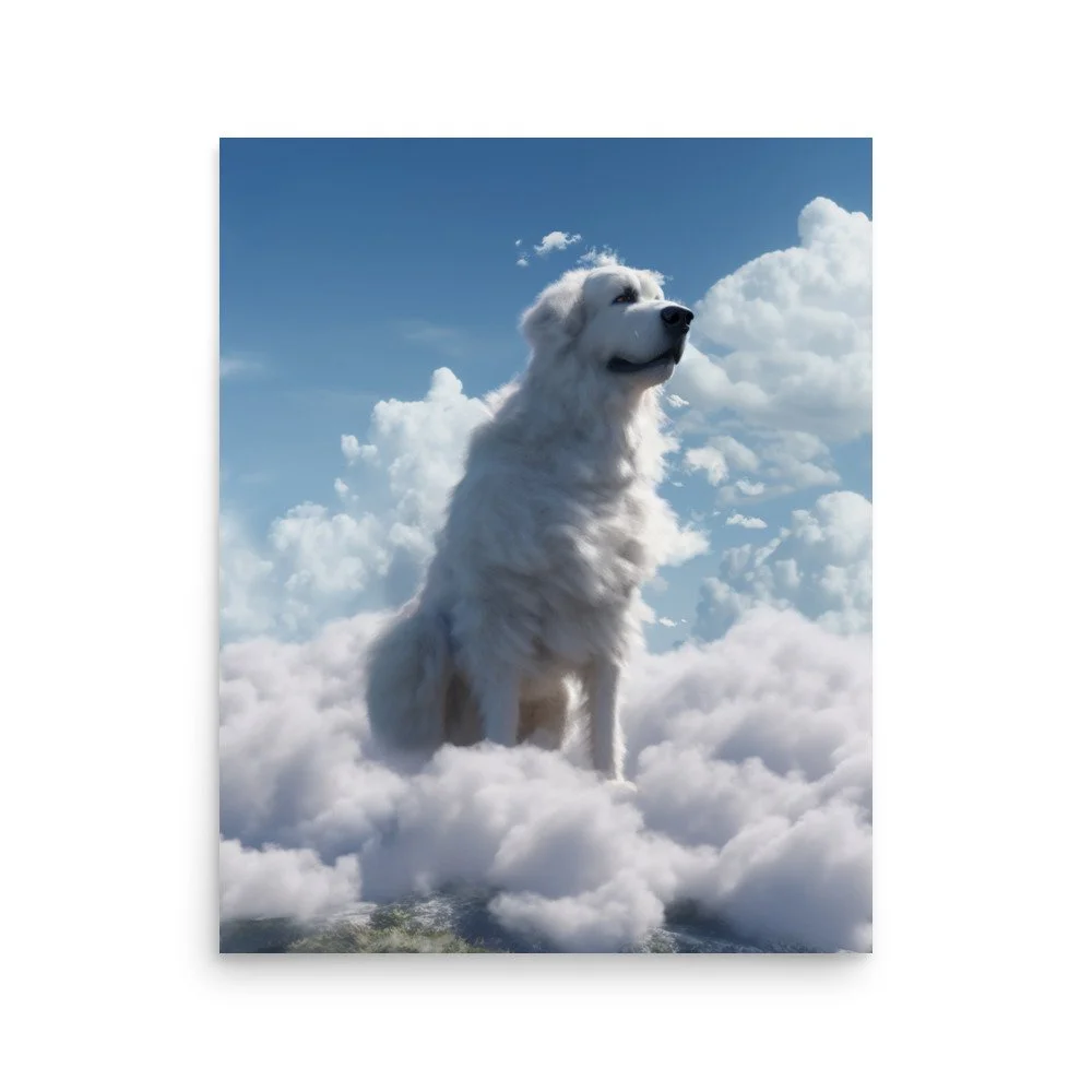 premium-luster-photo-paper-poster-(in)-16x20-front-64411dd5d95bf.jpg
