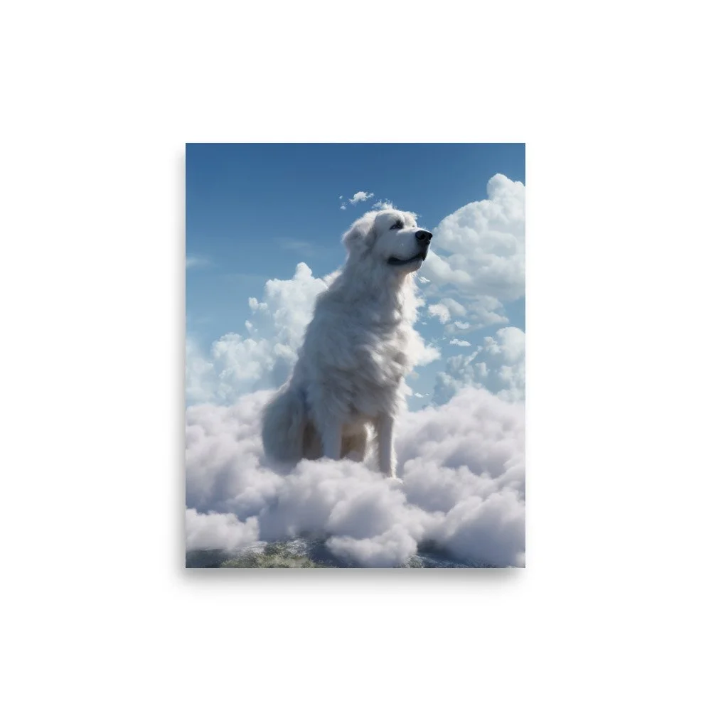 premium-luster-photo-paper-poster-(in)-8x10-front-64411dd5db82d.jpg