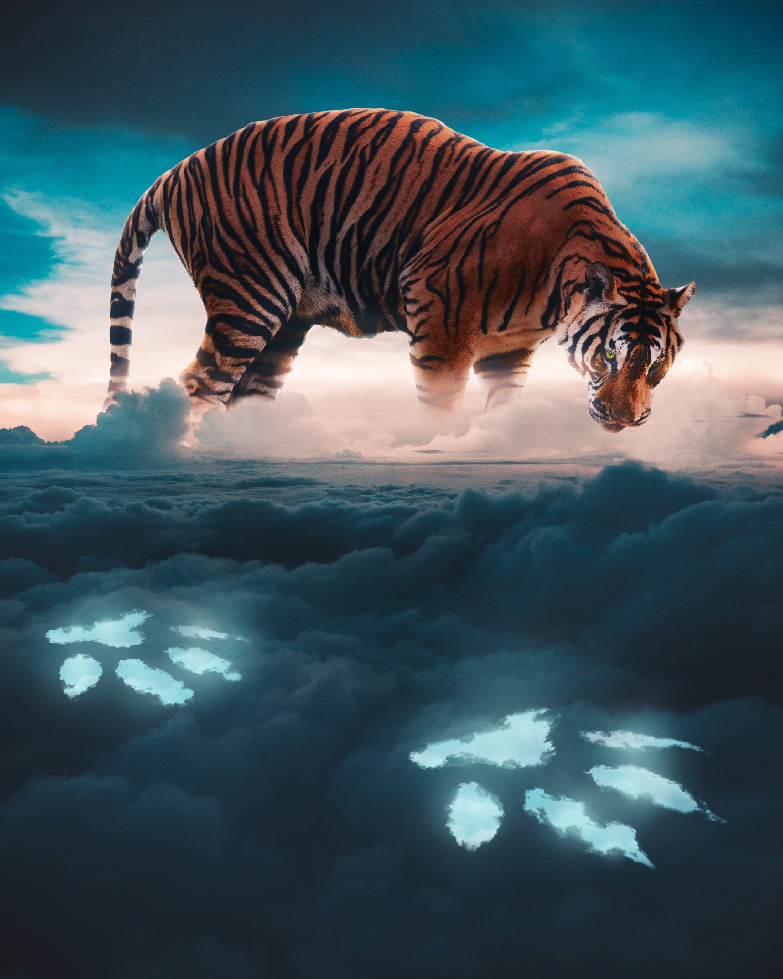 the dawning of a scent.JPG