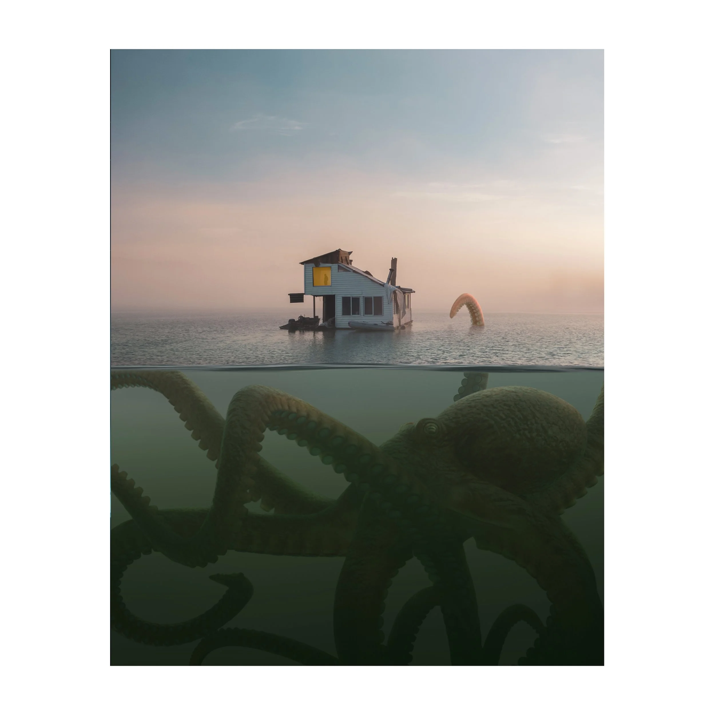 An Unexpected Guest.jpg