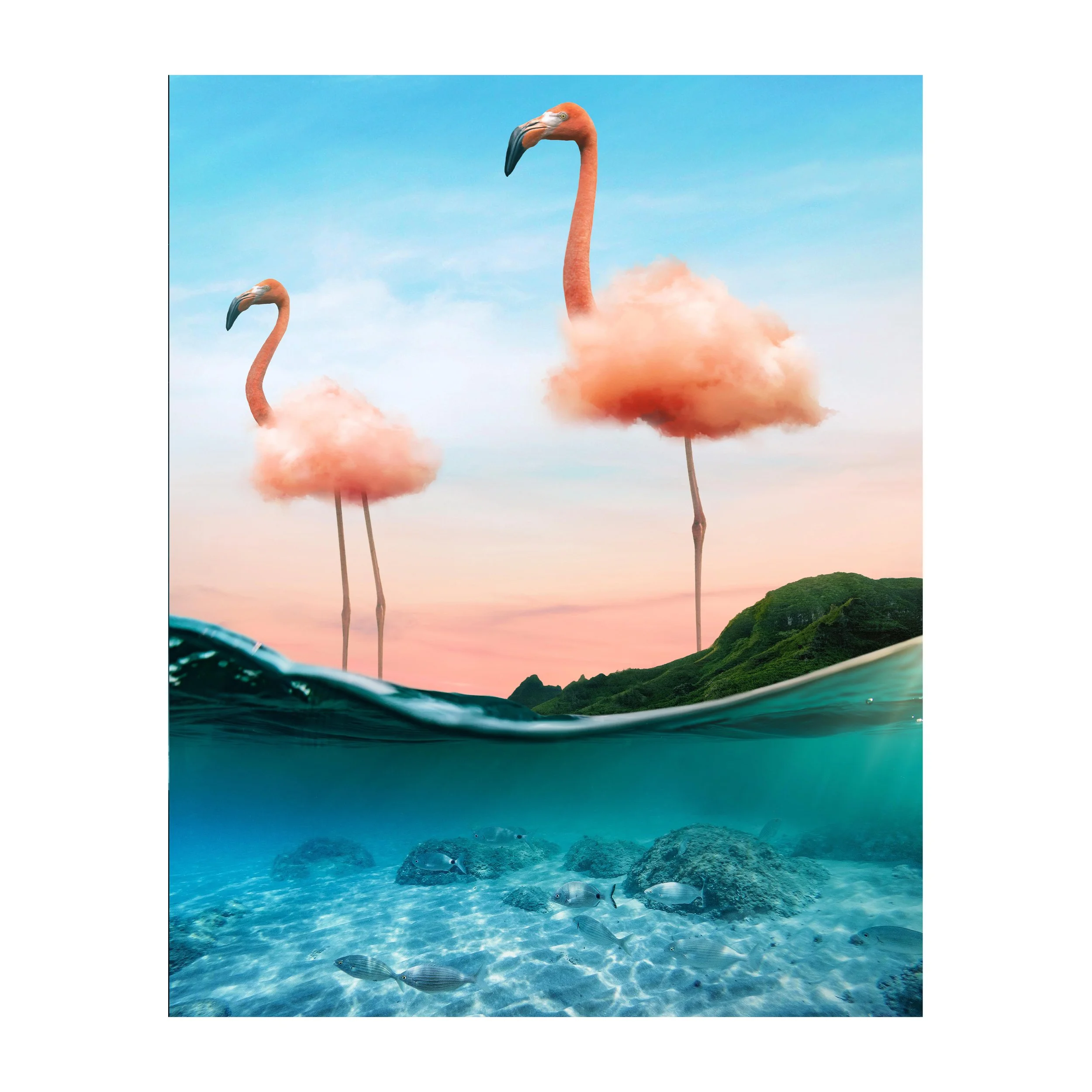 Flmaingo Cloud.jpg