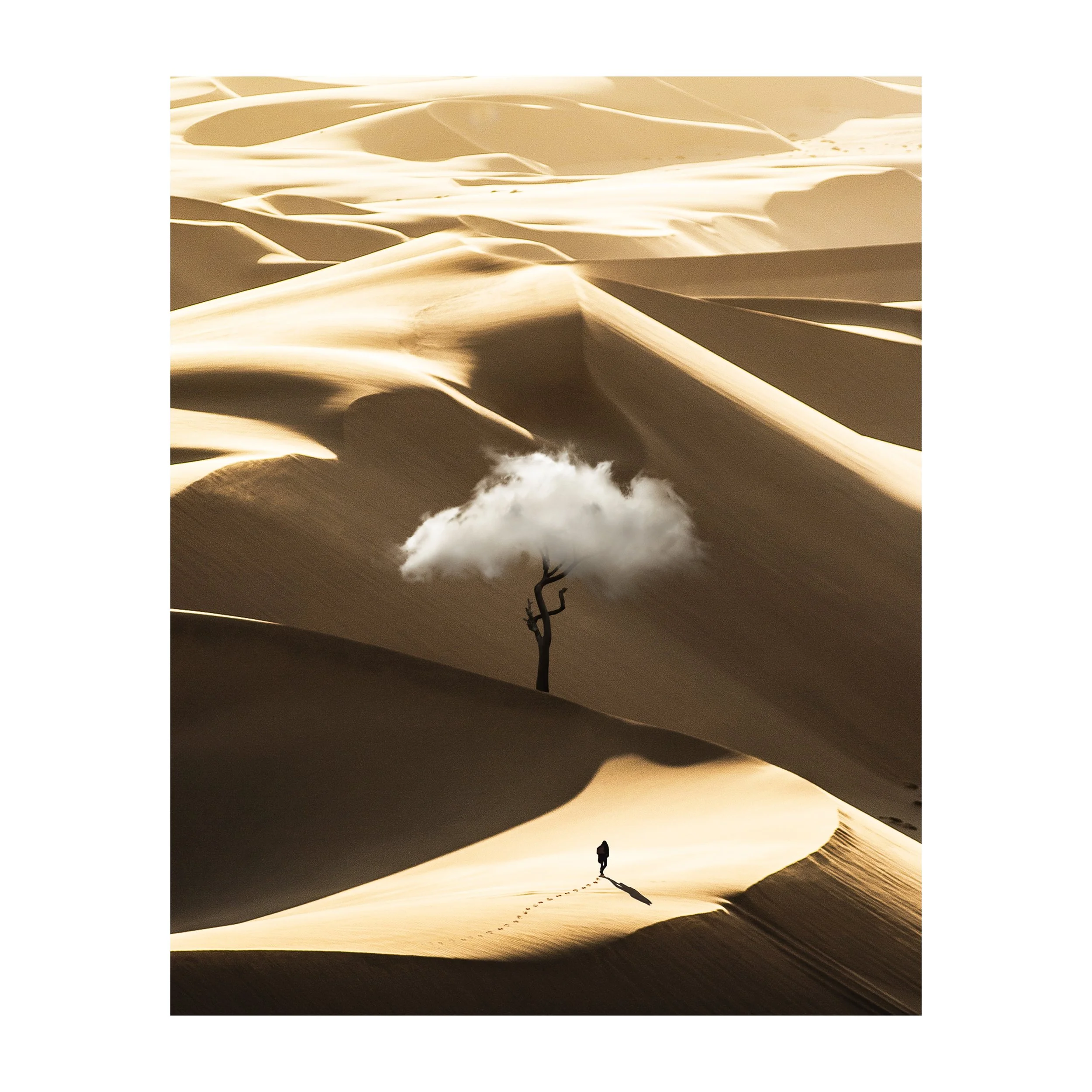 Seeking For Higher Thoughts.jpg