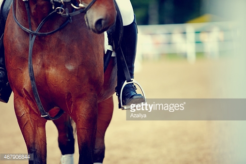 Equestrianism In partnership with the College of West Anglia, Cambridge Sport Lakes will offer a wide-range of equestrian facilities and educational opportunities to the community. Key Facilities: A 2 km long cantering track with cross-countr