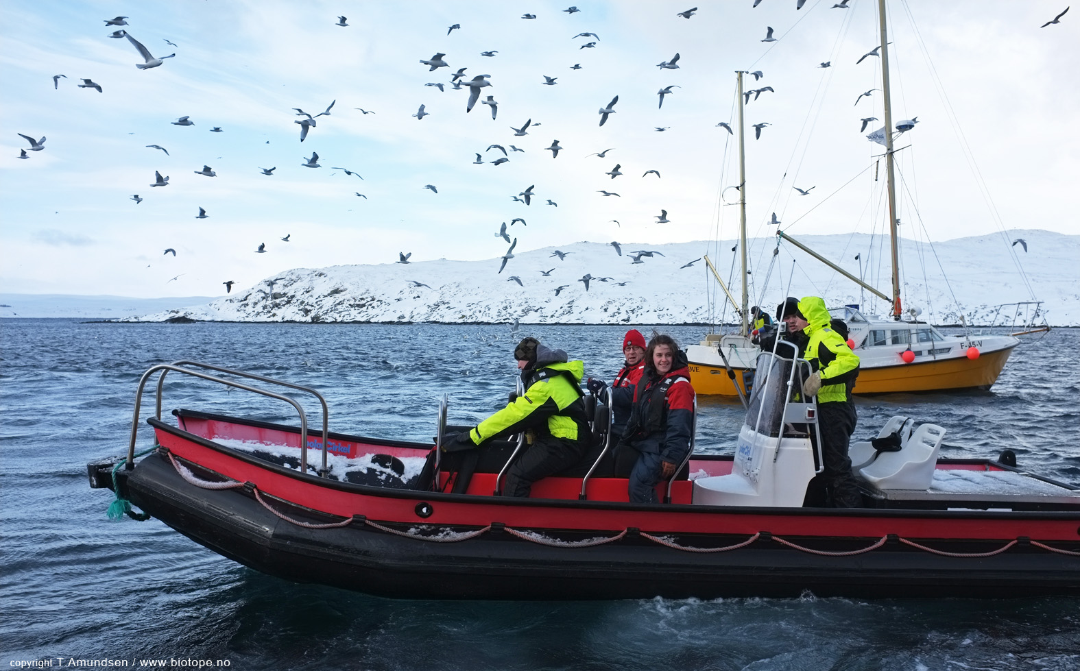 birders leaving Hornoya 2 march 2012 Amundsen Biotope.jpg