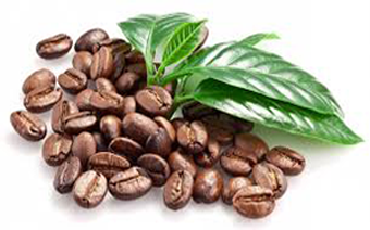 Beans.png