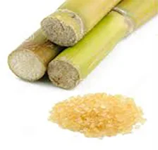 Bamboo.jpg