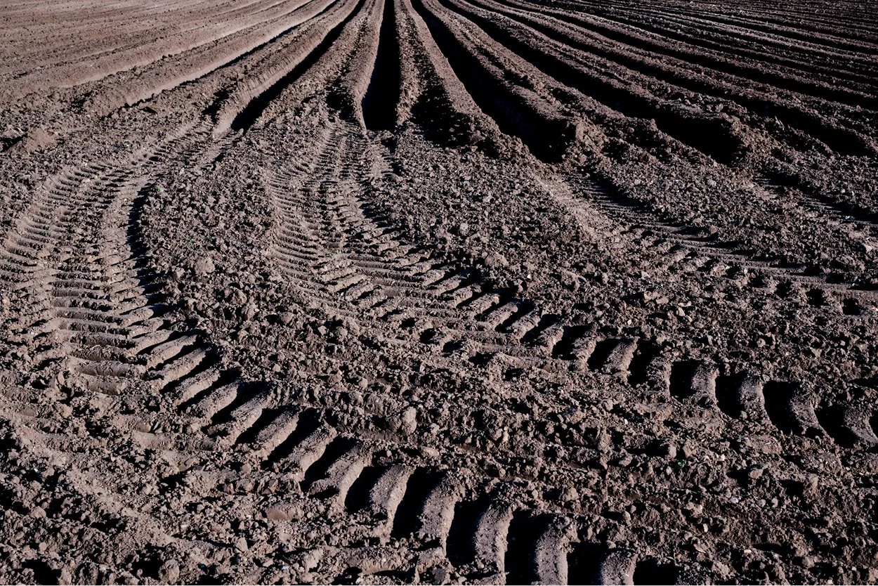 ploughed