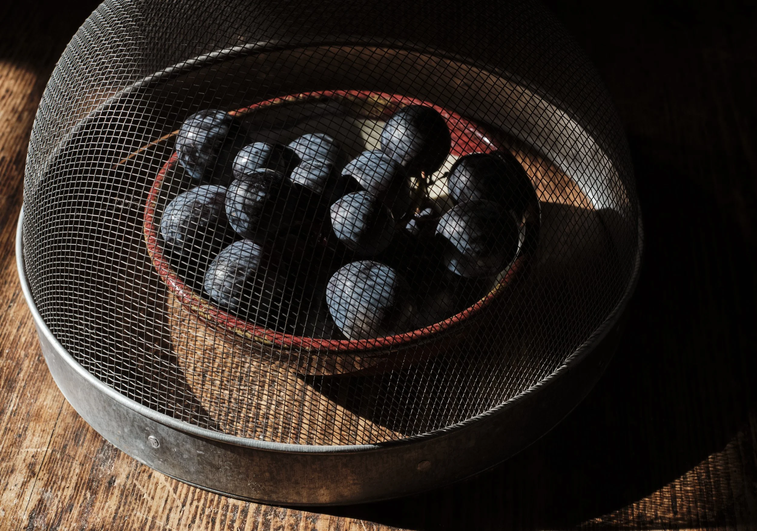quelques raisins sous une cloche