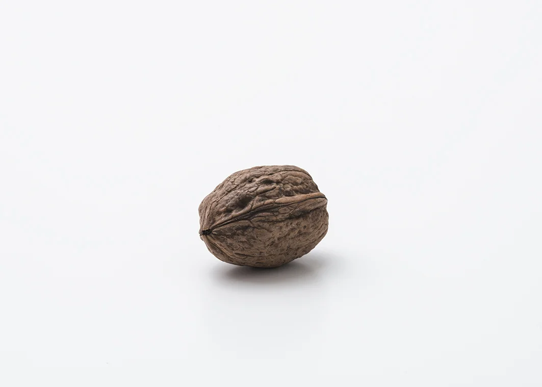 noci (8).jpg