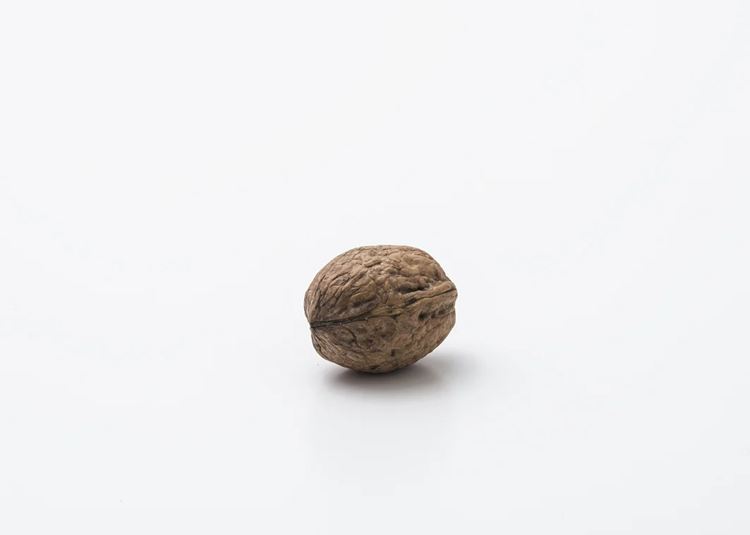 noci (13).jpg