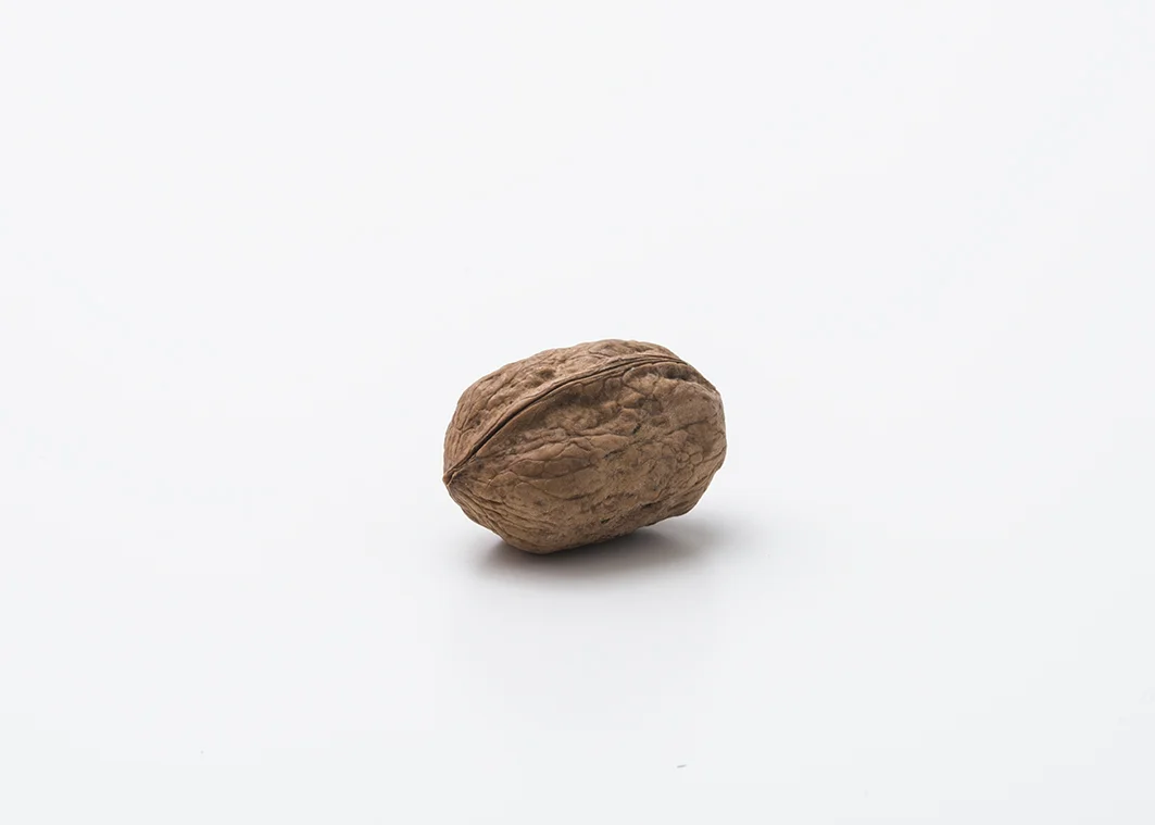 noci (16).jpg