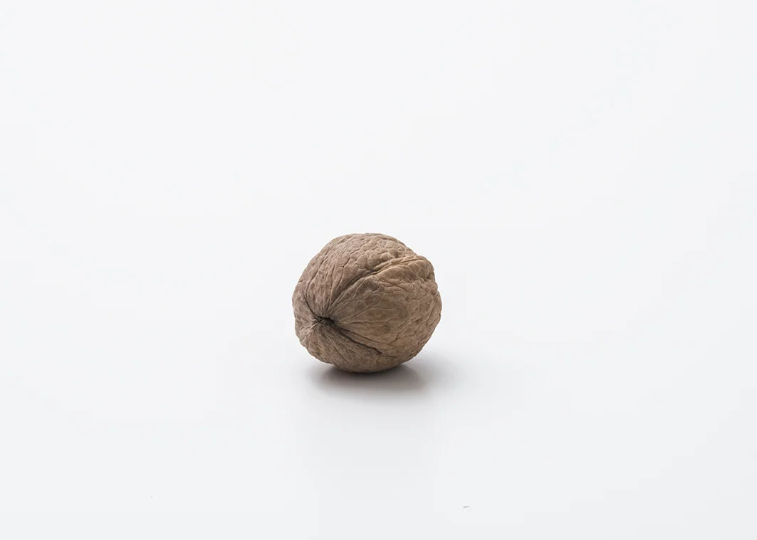 noci (19).jpg