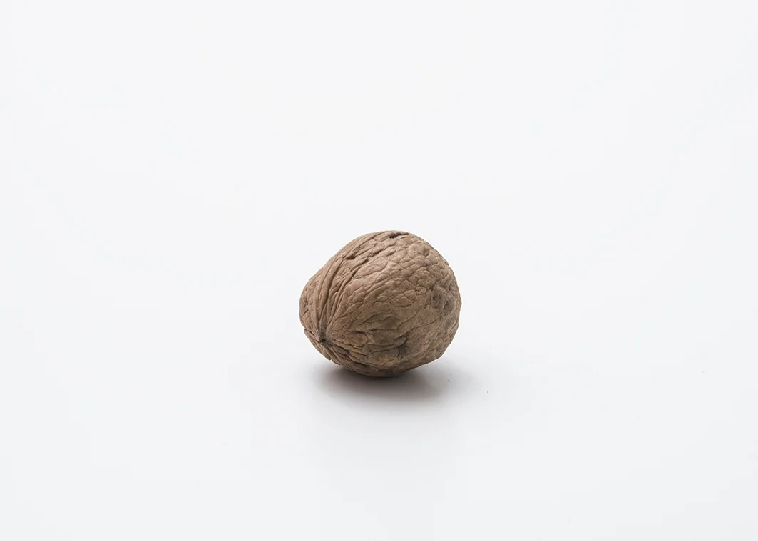noci (65).jpg