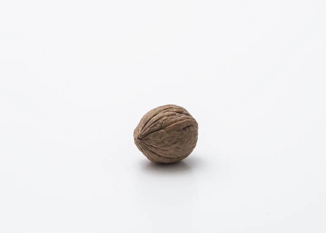 noci (70).jpg