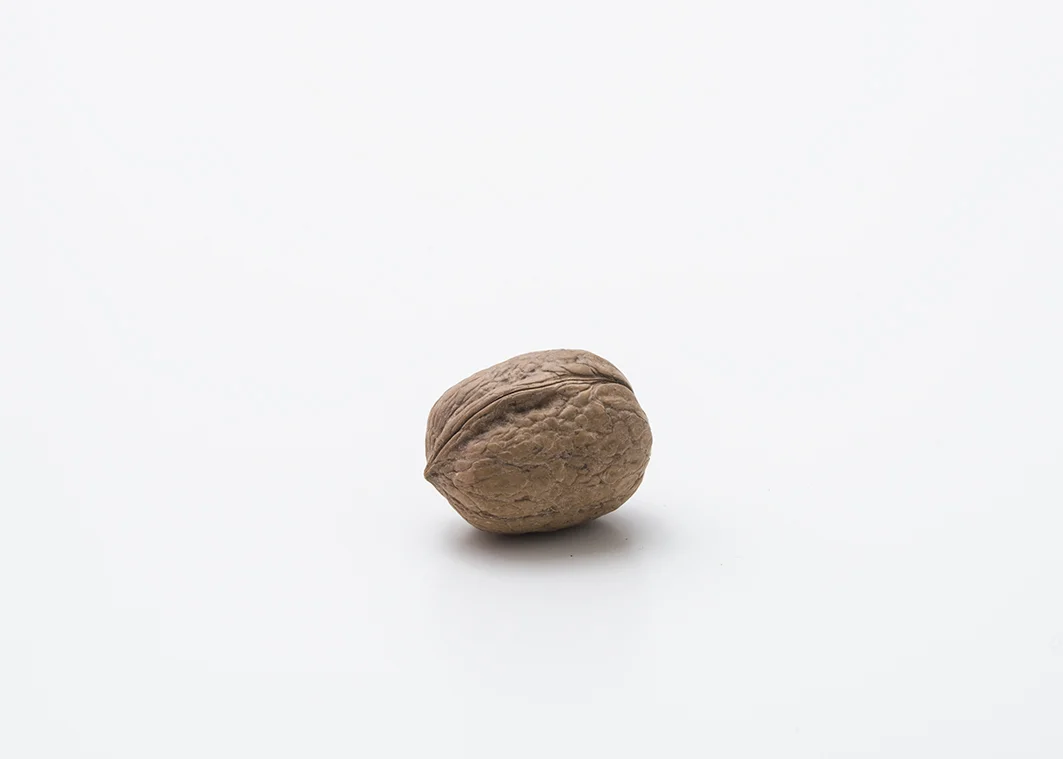 noci (97).jpg