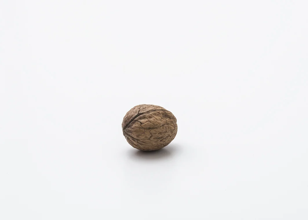 noci (100).jpg