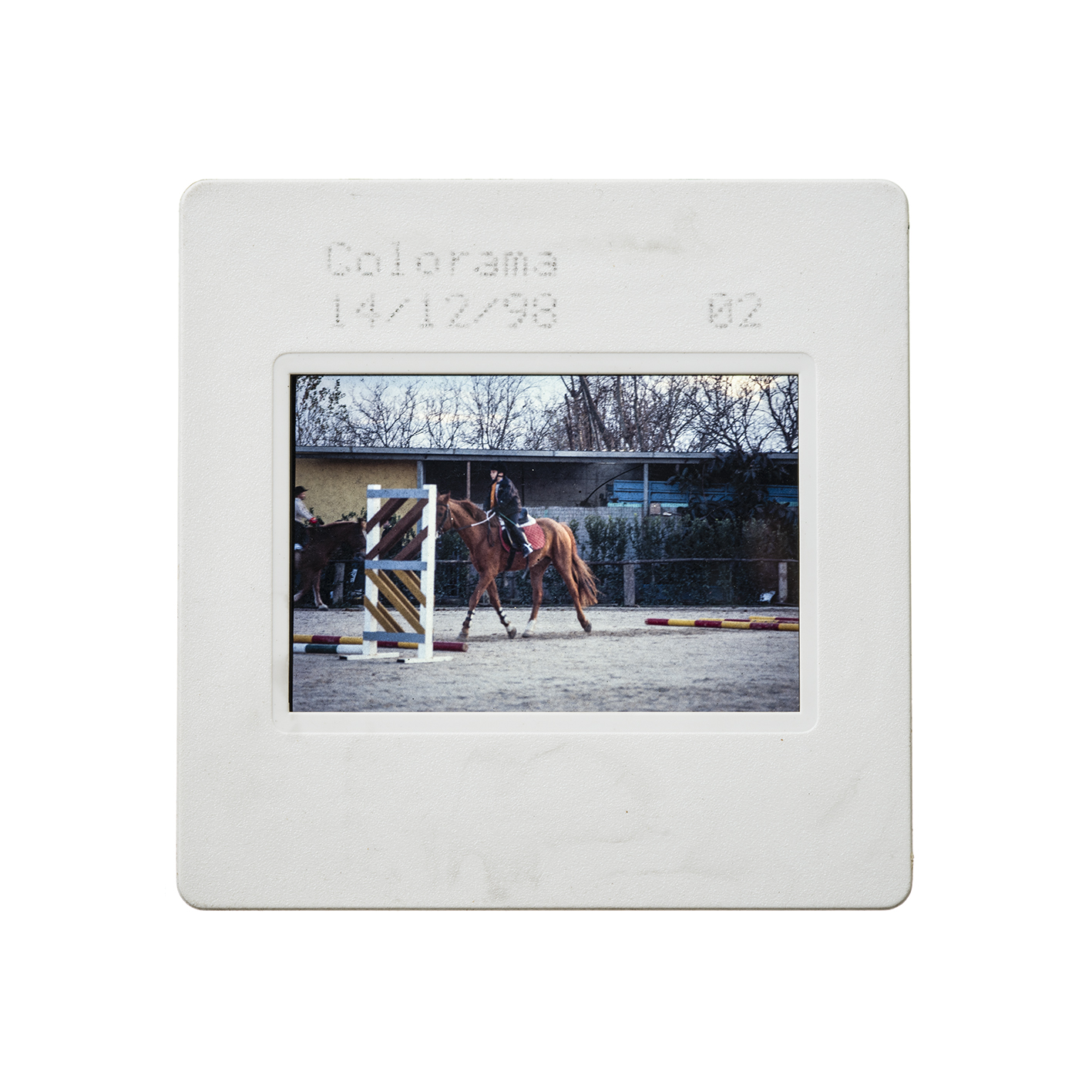 colorama (7).jpg